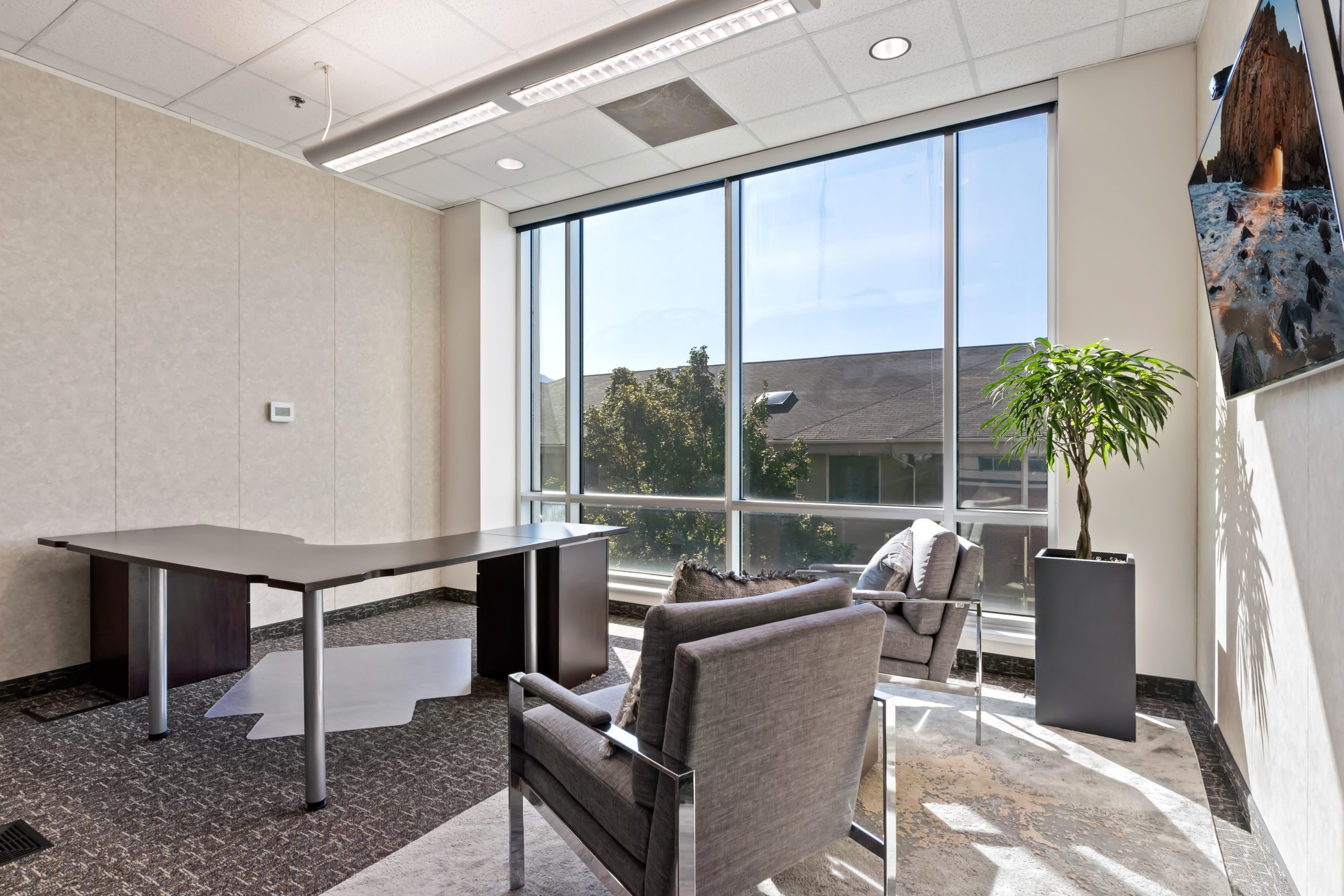 fibernet executives suites private office space